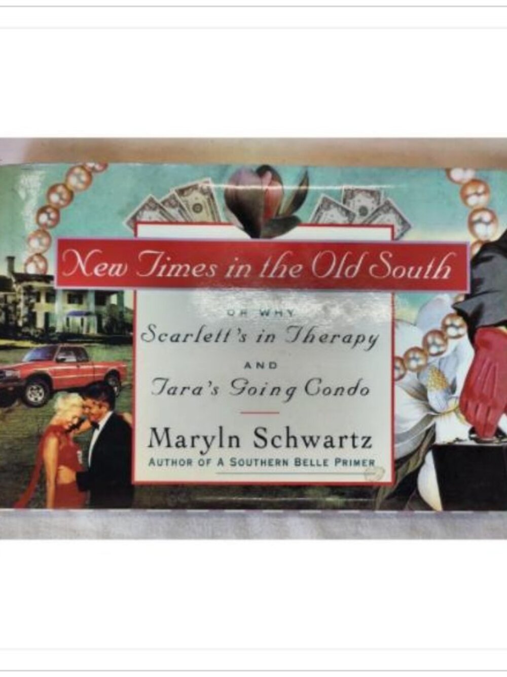 New Times in the Old South by Marylyn Schwartz 1993 ISBN 0517595532